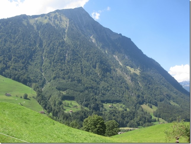 150822 Switzerland- Fiesch (6) (640x480)