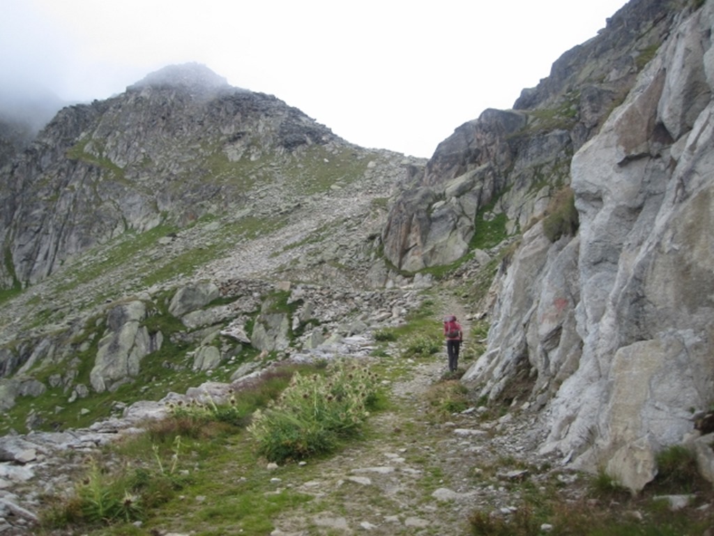 150823 Switzerland- Eggishorn (13) (640x480)