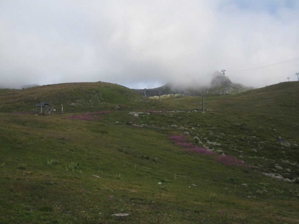 150823 Switzerland- Eggishorn (8) (640x480)