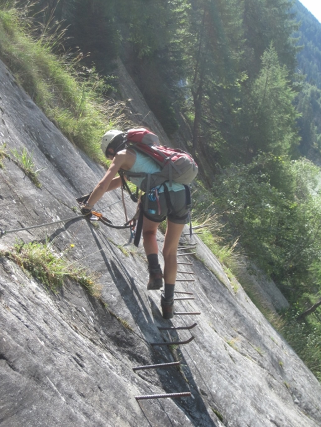 150826 Switzerland- Belalp (46) (480x640)