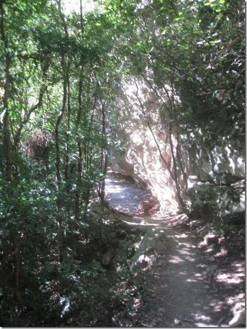 150907 France- Verdon gorge (40) (480x640)