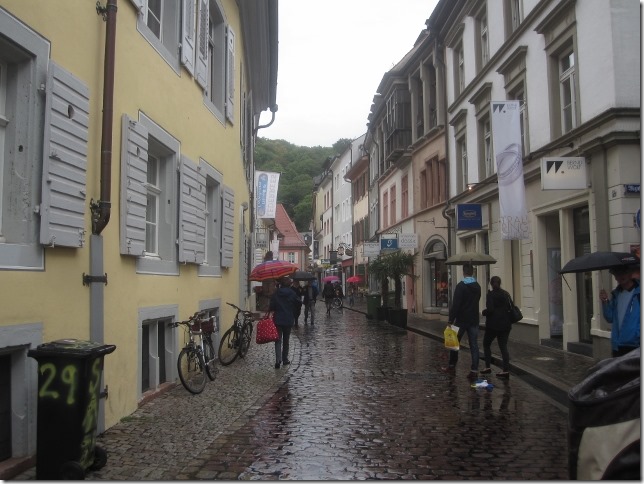 150916 Germany- Freiburg (2) (640x480)