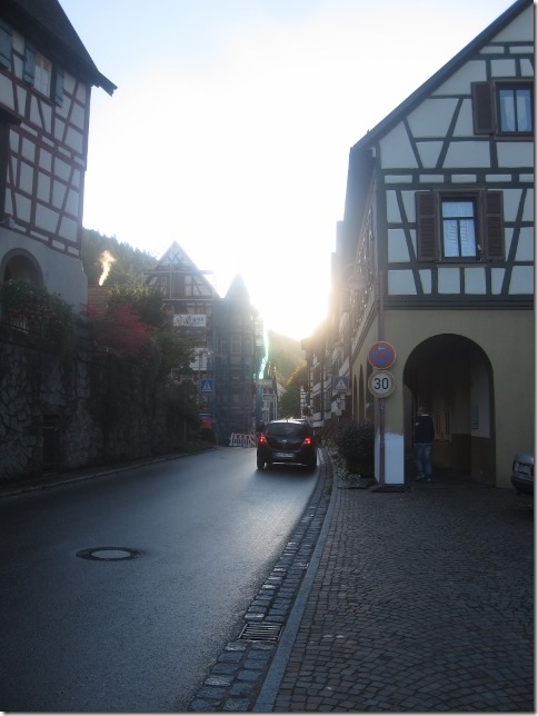 150917 Germany- Schiltach (17) (480x640)