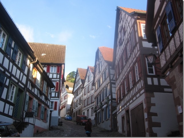 150917 Germany- Schiltach (6) (640x480)