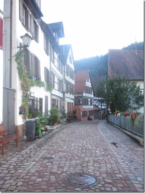 150917 Germany- Schiltach (9) (480x640)