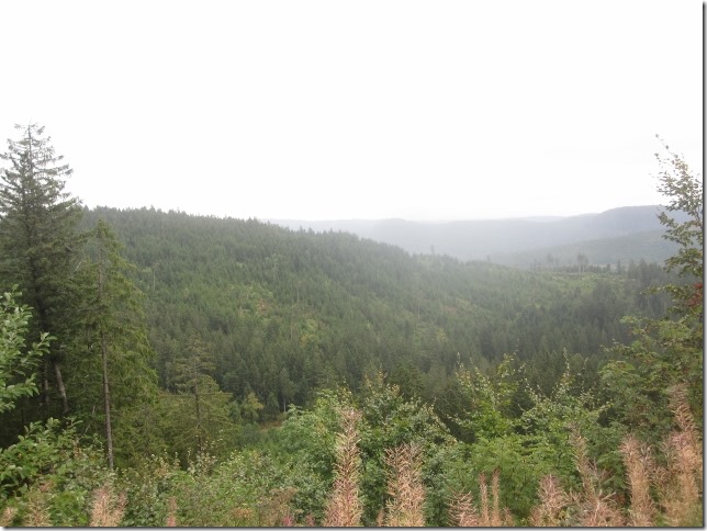 150918 Germany- Black forest (1) (640x480)