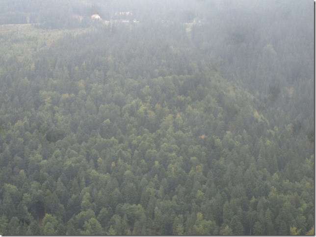 150918 Germany- Black forest (10) (640x480)