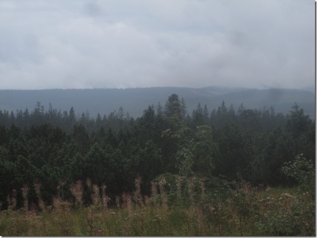 150918 Germany- Black forest (3) (640x480)