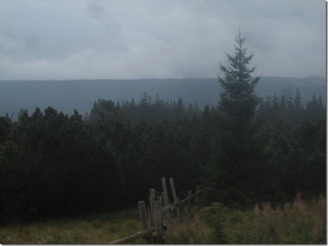 150918 Germany- Black forest (4) (640x480)